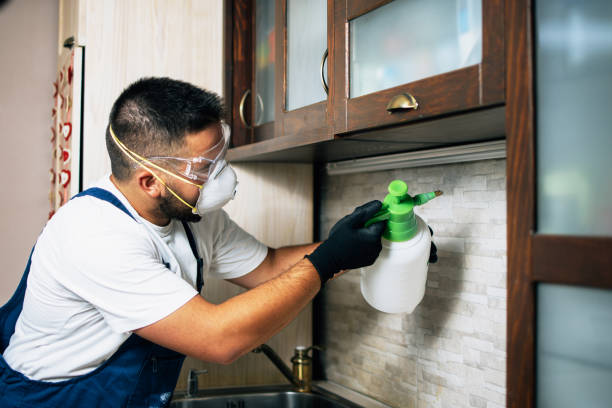 Best Wasp Removal Services  in Dearborn, MI