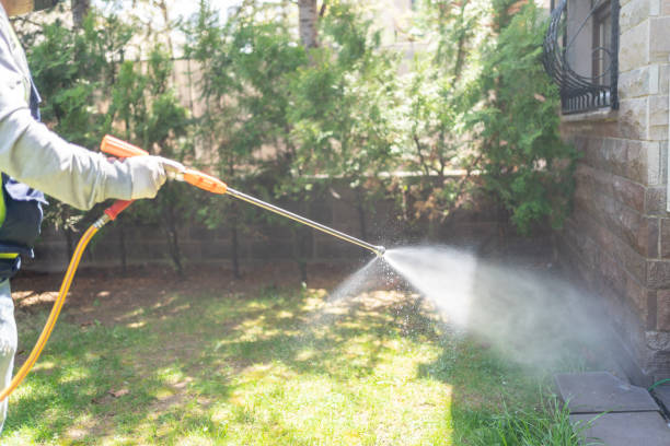 Best Bed Bug Extermination  in Dearborn, MI