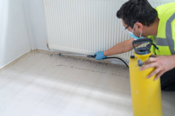 Professional Pest Control in Dearborn, MI